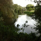 South Lagoon