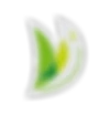 Latitude Voile