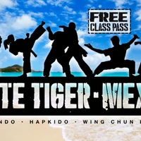 White Tiger - Mexico