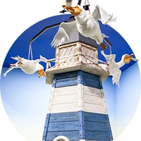 Paradise Island Adventure Golf Cheshire Oaks
