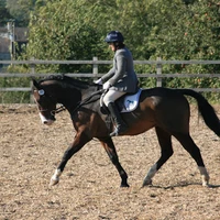 J B Equestrian Services