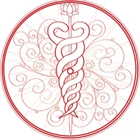 Embodied Bellydance