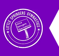 Little Springers Gymnastics