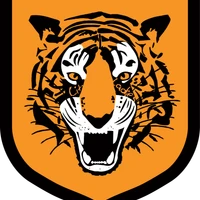 Hull City Ladies