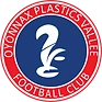 Plastics Vallée Football Club Oyonnax