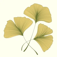 Wallan Wallan Natural Therapies