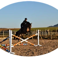 Horse Farm D'yggdrasil