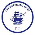 Courtown HIbs football club