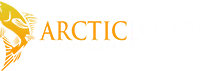 Arctic Lodges