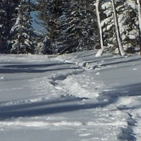 Logan Lake All Season Trail System