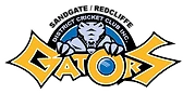 Sandgate Redcliffe District Cricket Club