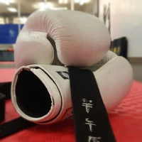Cor Martial Arts