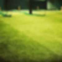 Cricket Labs