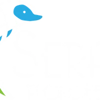 SeRAS Plongée 31