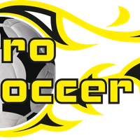 PRO SOCCER 5
