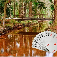 Burley Bridge Club