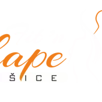 Fit n Shape