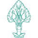 TRING YOGA STUDIO