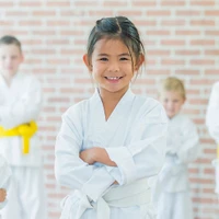 Red Tiger Martial Arts