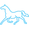 Matchmoor Riding Centre