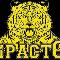 IMPACT64