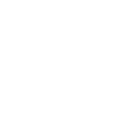 Georgia's Dance Academy