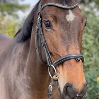 Poney Club Bruyeres