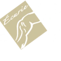 Equestrian Center Fief Des Garennes