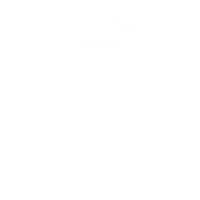 Total Movement