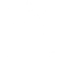 Cocoon Yoga