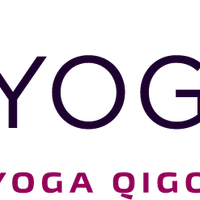 Yogalily | Yoga TaiChi Qigong Wellness