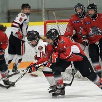 Windsor Wildcats Female Hockey