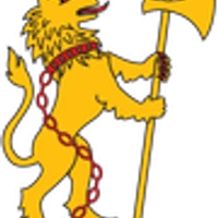 Wellington Football Club