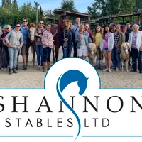 Shannon Stables Ltd
