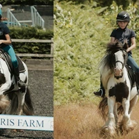 Laris Farm