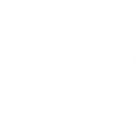 Fleck Trainer