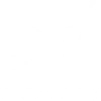 Dance Connection