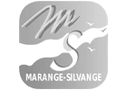 Us Silvange Basket