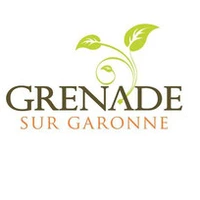 Attitudes Danse Grenade