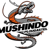 Mushindo