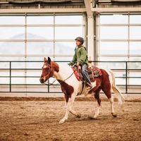 West Kelowna Stables