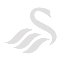 Swansea.com Stadium