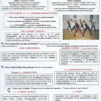 Dynafit Fitness Limoges