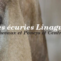 Les Écuries Linagua