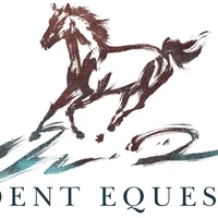 Confident Equestrians - Fi Dent Accredited Professional Riding Coach
