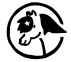 Ludo Poney