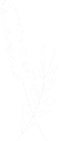 Mas Les Olivandes proche de l’Isle sur le Sorgue à Thor, Vaucluse, Provence-Alpes-Côte d’Azur