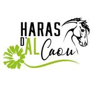 Le Haras D Alcaou