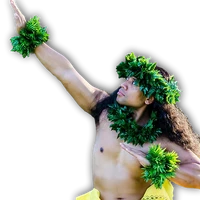Heilani Polynesian School of Arts