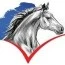 Espace Cheval